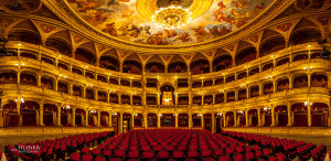 DIE FRAU OHNE SCHATTEN-005