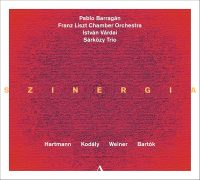 Szinergia: Pablo Barragán - Franz Liszt Chamber Orchestra