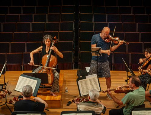 La OCG inaugura su temporada de 2026/27 junto al violinista y director Gordan Nikolic