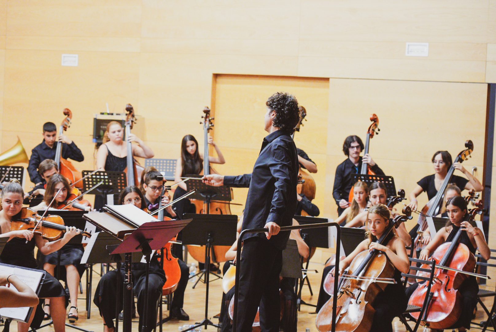joven orquesta sinfonica FSMCV